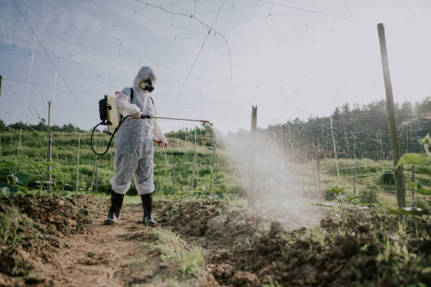 Best Ant Control Services  in Friona, TX