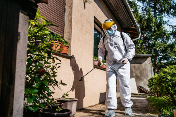 Best Pest Inspection Near Me  in Friona, TX