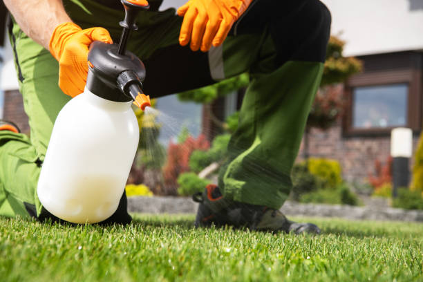 Professional Pest Control in Friona, TX