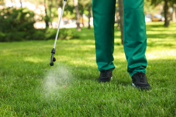 Best Residential Pest Control  in Friona, TX