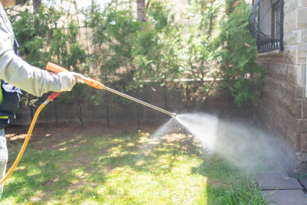 Best Mosquito Control Services  in Friona, TX