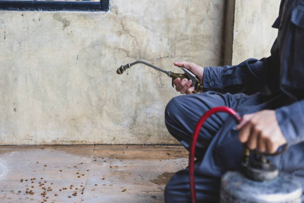 Best Pest Control Near Me  in Friona, TX