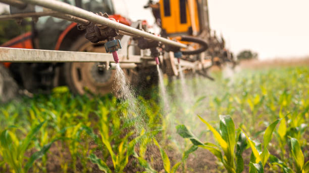 Best Pest Control for Businesses  in Friona, TX